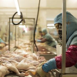 <img src=upfile/images/2019/01/25/small3_15484087565363737.jpg height=150>