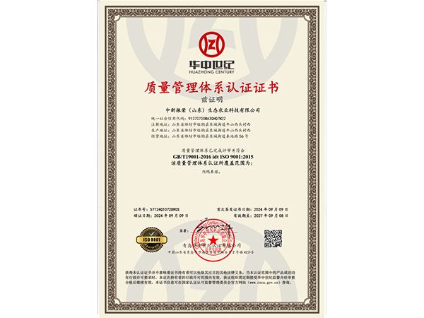 质量管理体系认证证书