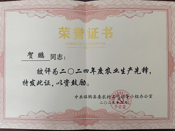 荣誉证书