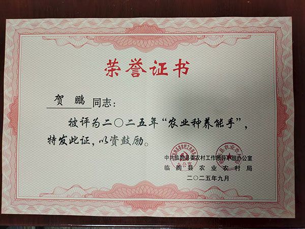 荣誉证书